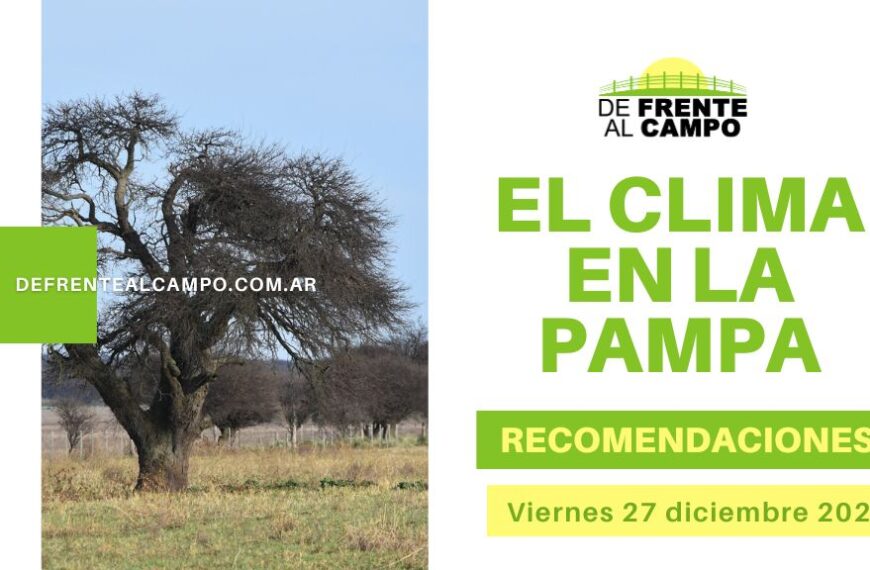 Viernes 27 de diciembre: Calor sin tregua en La Pampa, temperaturas entre 33°C y 35°C