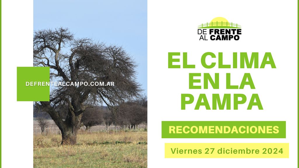 Viernes 27 de diciembre: Calor sin tregua en La Pampa, temperaturas entre 33°C y 35°C