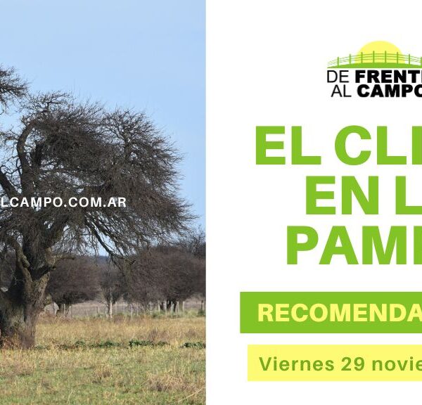 La Pampa disfruta de un viernes soleado y agradable: Máximas de hasta 29°C – Viernes 29/11