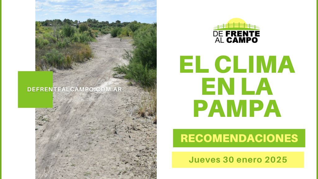 Ola de calor en La Pampa: temperaturas de hasta 41°C y cielos despejados – Jueves 30 de enero de 2025