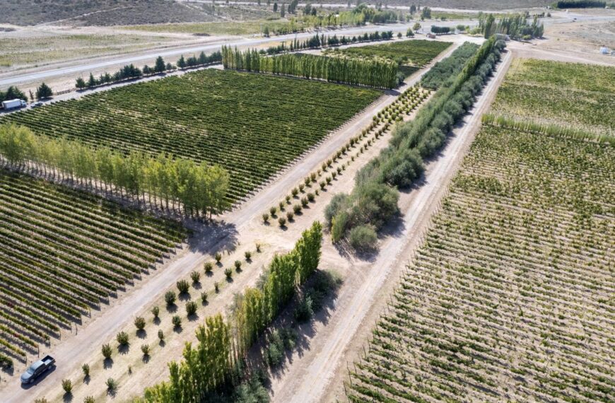 La Pampa amplía el horizonte de producción y sumará 500 hectáreas bajo riego en Casa de Piedra