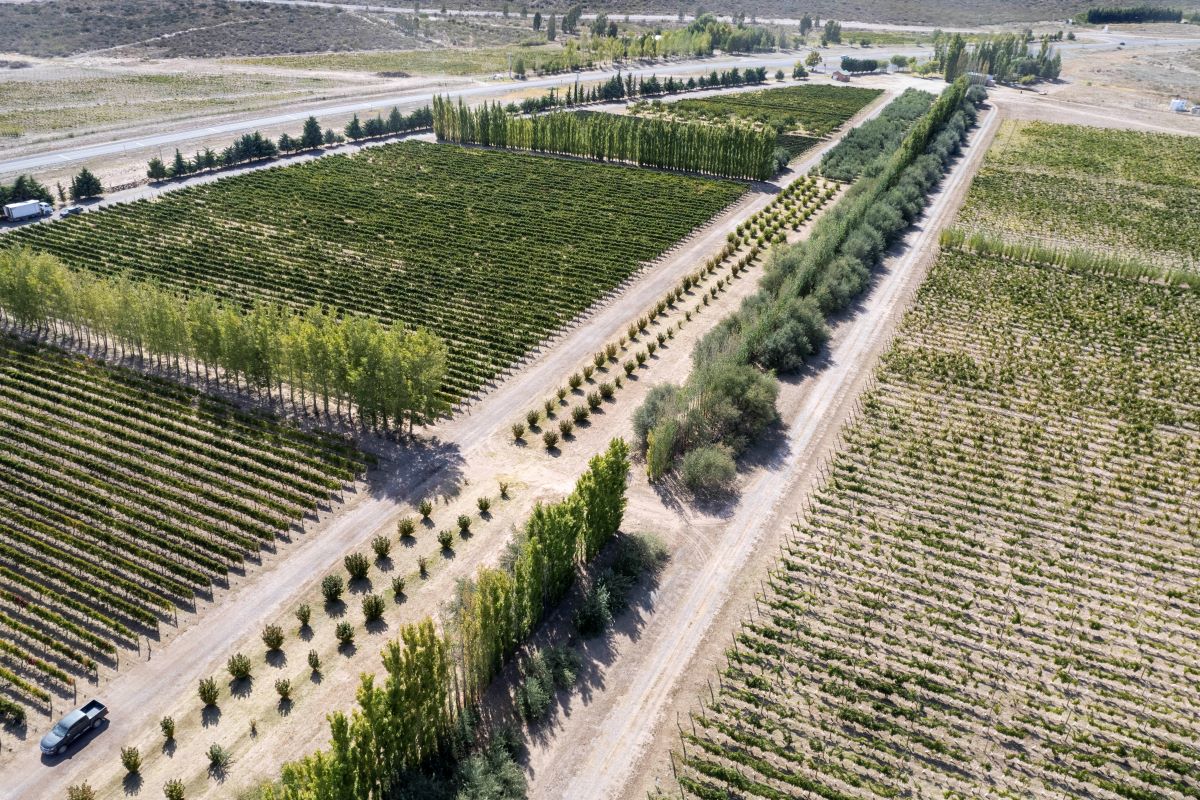 La Pampa amplía el horizonte de producción y sumará 500 hectáreas bajo riego en Casa de Piedra