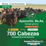 Colombo y Magliano S.A | Ayacucho, Bs. As. | Próximo Remate Feria el martes 12 de noviembre del 2024