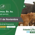 Colombo y Magliano S.A | Chascomús, Bs. As. | Próximo Remate Feria el jueves 21 de noviembre del 2024