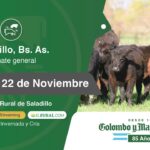 Colombo y Magliano S.A | Saladillo, Bs. As. | Próximo Remate Feria el Viernes 22 de noviembre del 2024