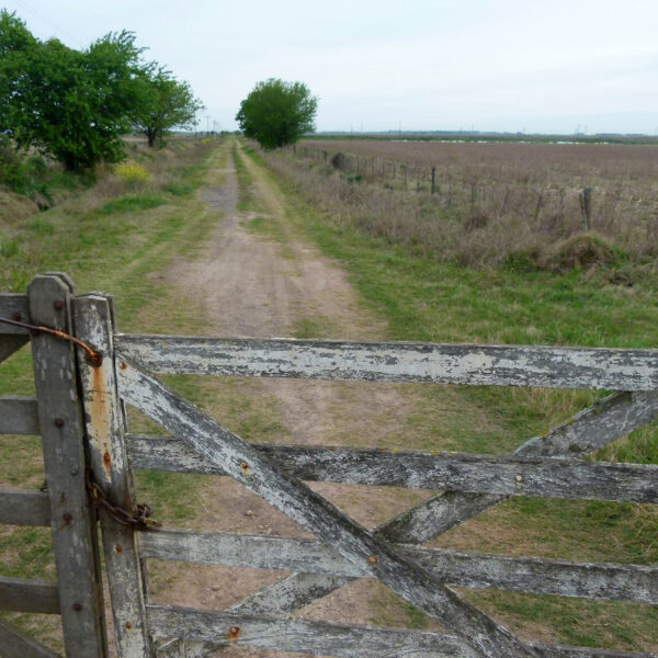 Cómo subdividir un campo y porque tiene qué hacerlo un matriculado