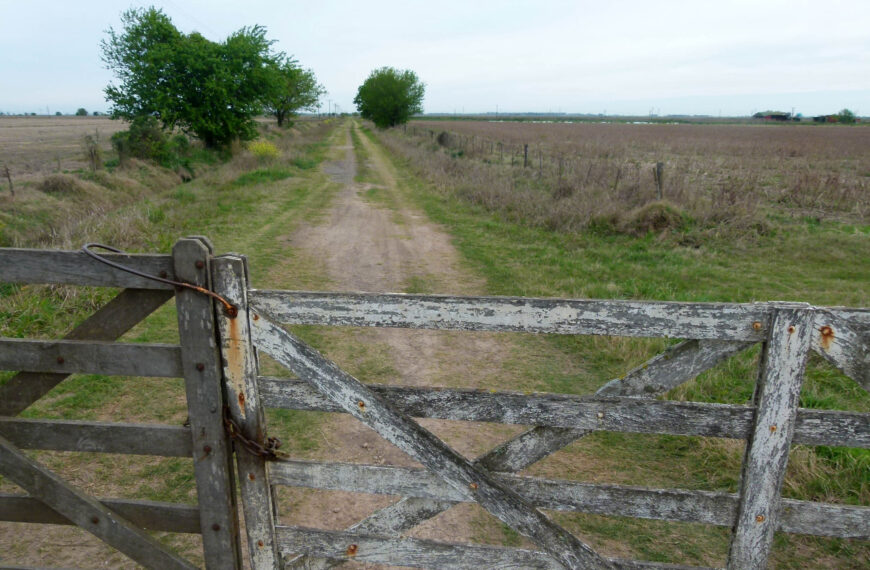 Cómo subdividir un campo y porque tiene qué hacerlo un matriculado