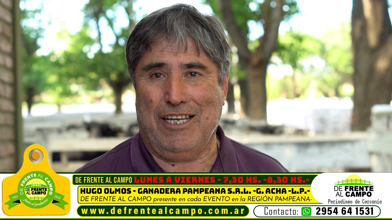 Entrevista: Hugo Olmos analiza el remate feria de noviembre en Ganadera Pampeana S.R.L.