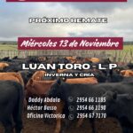 Ganaderos de Elordi S.A. – Sociedad Victorica S.R.L. | Luan Toro – La Pampa | Próximo Remate Feria el miércoles 13 de noviembre del 2024