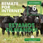 Gregorio Aberasturi SRL | Por internet | Próximo Remate Feria el miércoles 06 de noviembre 2024