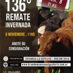 136º Remate Invernal de Brandemann Consignataria S.R.L. | Eduardo Castex, La Pampa | Próximo Remate Feria el viernes 8 de noviembre 2024