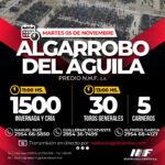 Néstor Hugo Fuentes S.A. | Algarrobo del Aguila – La Pampa | Próximo Remate Feria el martes 05 de noviembre del 2024