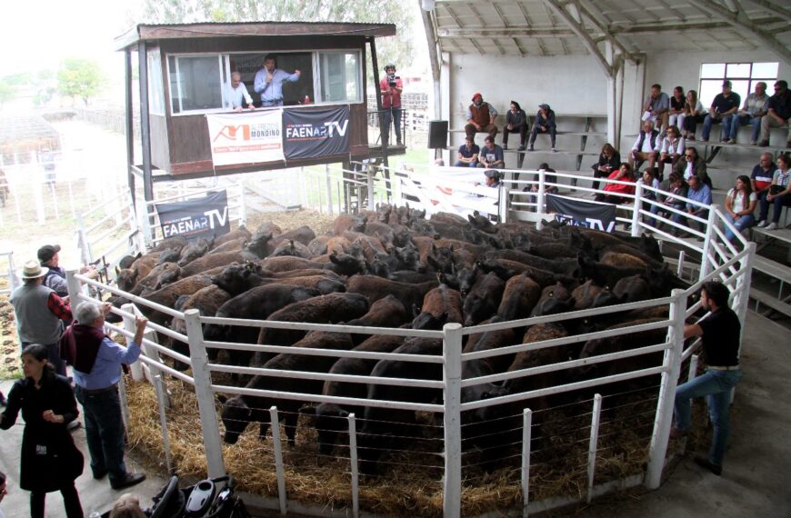 Rústicos desteta su tercera primavera en Tres Arroyos