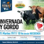 Saenz Valiente, Bullrich | Necochea, , Prov. Bs As. | Próximo Remate Feria el martes 19 noviembre 2024