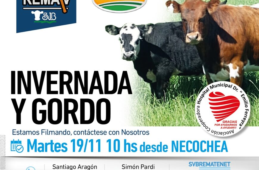 Saenz Valiente, Bullrich | Necochea, , Prov. Bs As. | Próximo Remate Feria el martes 19 noviembre 2024