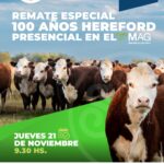 Remate Especial 100 Años Hereford | Saenz Valiente, Bullrich | Mercado Agro Ganadero, Buenos Aires | Próximo Remate Feria el Jueves 21 de noviembre 2024