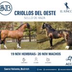 Saenz Valiente, Bullrich y Cia. S.A. | Remate de Caballos Criollos del Oeste  El Rincón | Bs As | Próximo Remate Feria el 19  y 20 de noviembre 2024