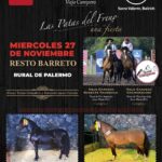 Saenz Valiente, Bullrich y Cia. S.A. | Remate de Caballos – El Rincón | Rural de Palermo | Próximo Remate Feria el Miércoles 27 de noviembre 2024