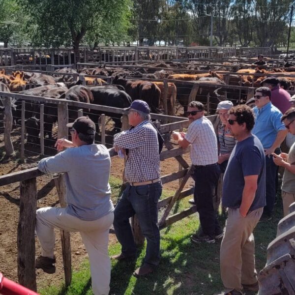 Destacados valores se alcanzó en la Cooperativa de General San Martín