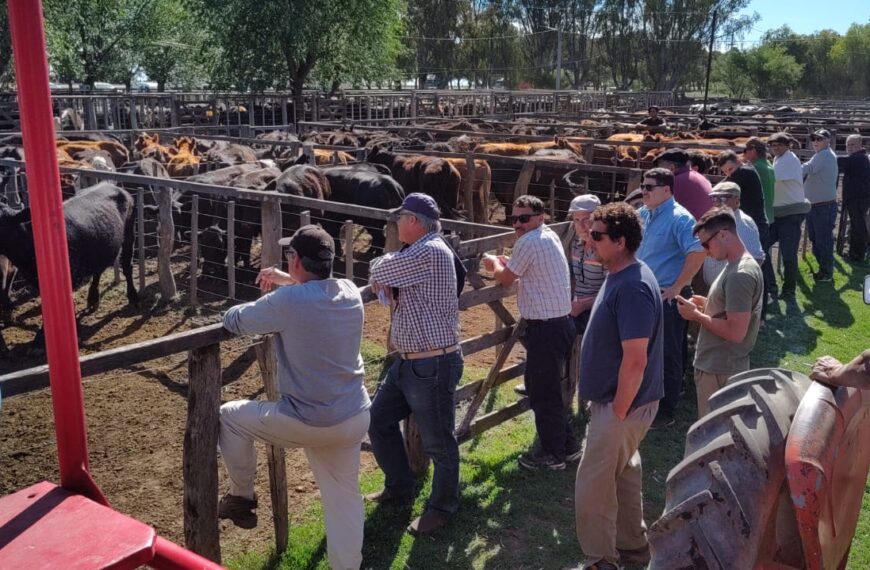 Destacados valores se alcanzó en la Cooperativa de General San Martín