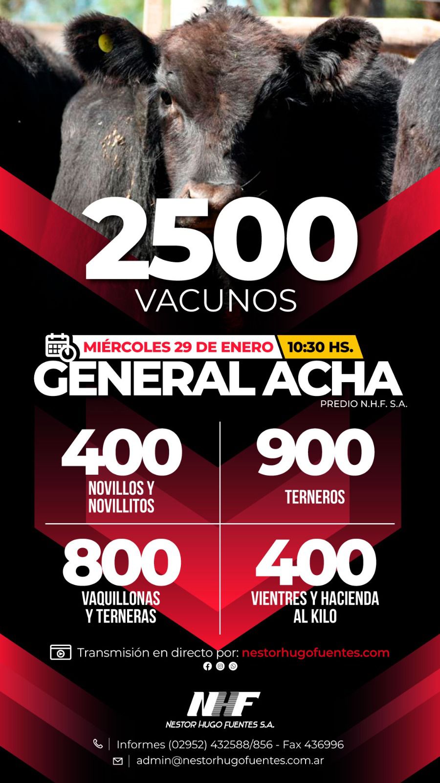 Néstor Hugo Fuentes S.A. | General Acha | Próximo Remate Feria el miércoles 29 de enero de 2025