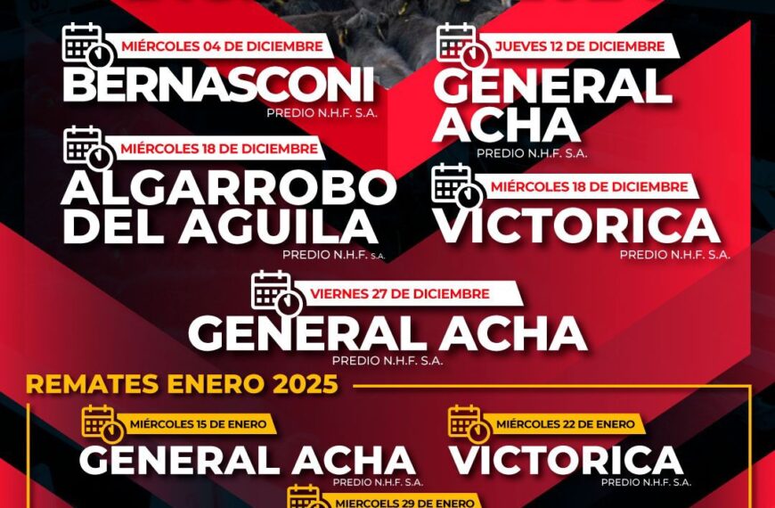 Néstor Hugo Fuentes S.A. | General Acha | Próximo Remate Feria el miércoles 29 de enero de 2025