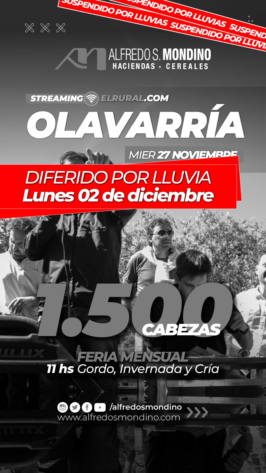 Alfredo S. Mondino | Olavarría | Próximo Remate Feria el Lunes 02 de diciembre 2024