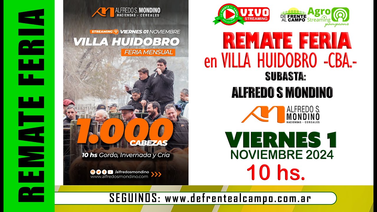 Remate de Alfredo S. Mondino | Villa Huidobro – Córdoba | 01/11/2024