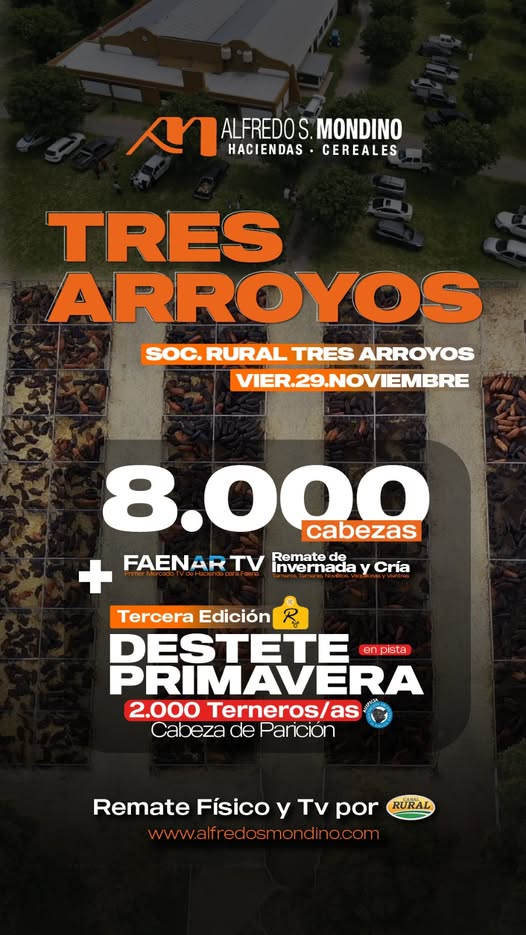 Alfredo S. Mondino | Sociedad Rural de Tres Arroyos | Próximo Remate Feria el | Viernes 29 de noviembre 2024