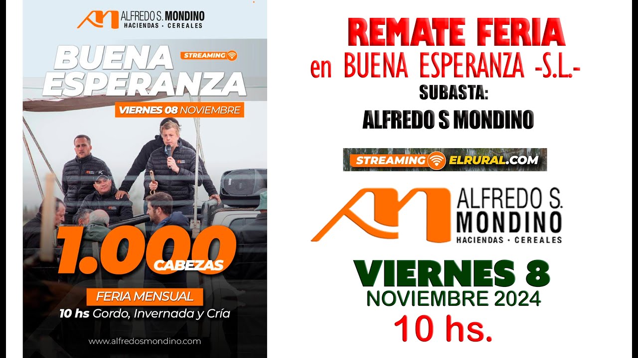 Remate de Alfredo S. Mondino | Buena Esperanza, San Luis | 08/11/2024