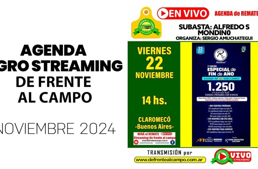 Remate de Alfredo S. Mondino | Claromecó | 22/11/2024