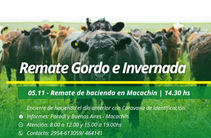 ATREU-CO | Macachín – La Pampa | Próximo Remate Feria el martes 05 de noviembre 2024