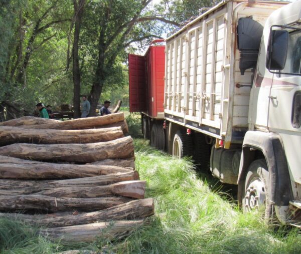 Trabajan en la conservación y aprovechamiento sustentable de los bosques nativos provinciales