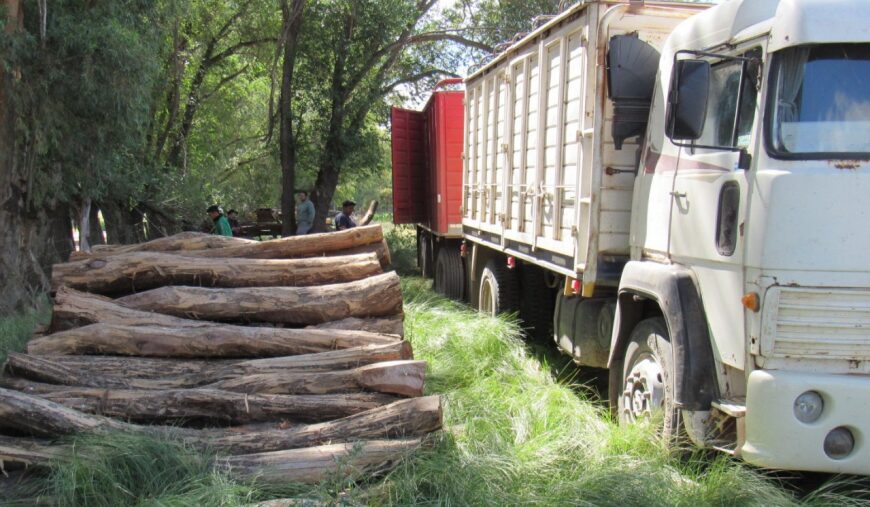 Trabajan en la conservación y aprovechamiento sustentable de los bosques nativos provinciales