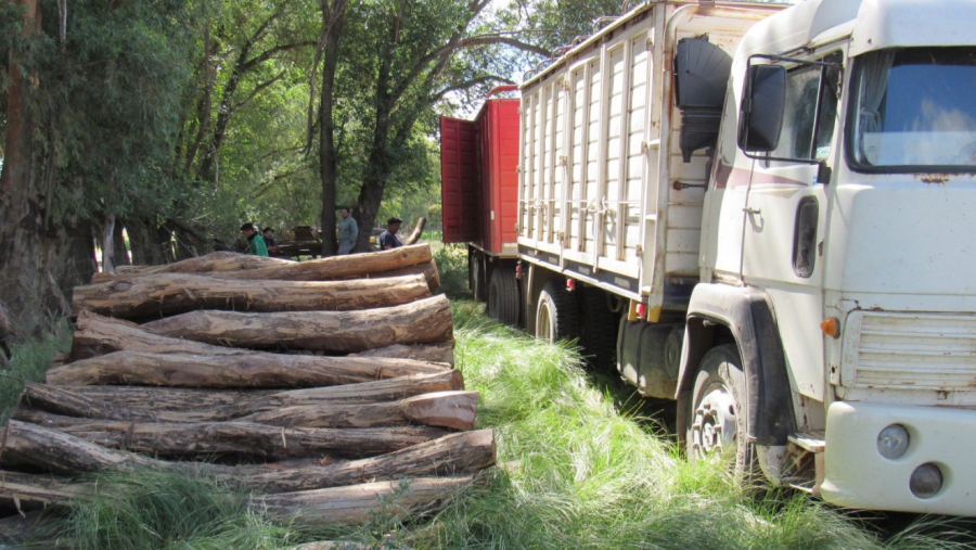 Trabajan en la conservación y aprovechamiento sustentable de los bosques nativos provinciales