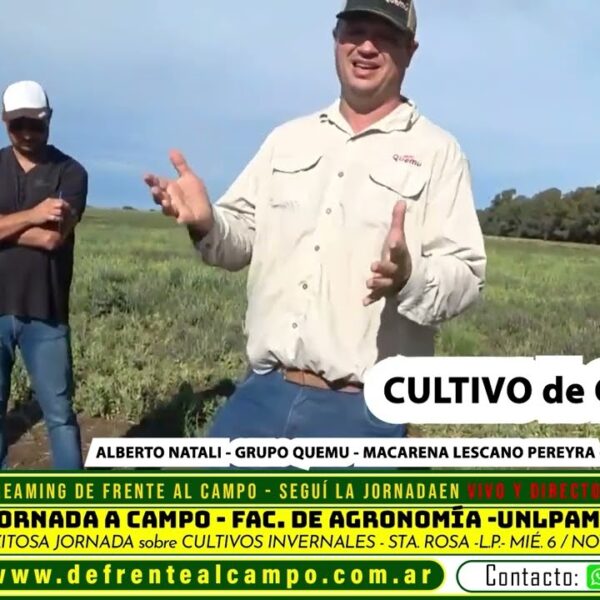 De Frente al Campo presenta el Cultivo de Camelina – Grupo Quemú en la Jornada a Campo “Cultivares de Invierno” – UNLPam.