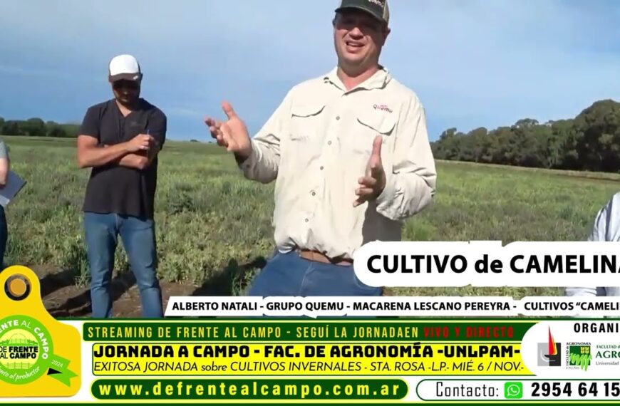 De Frente al Campo presenta el Cultivo de Camelina – Grupo Quemú en la Jornada a Campo “Cultivares de Invierno” – UNLPam.