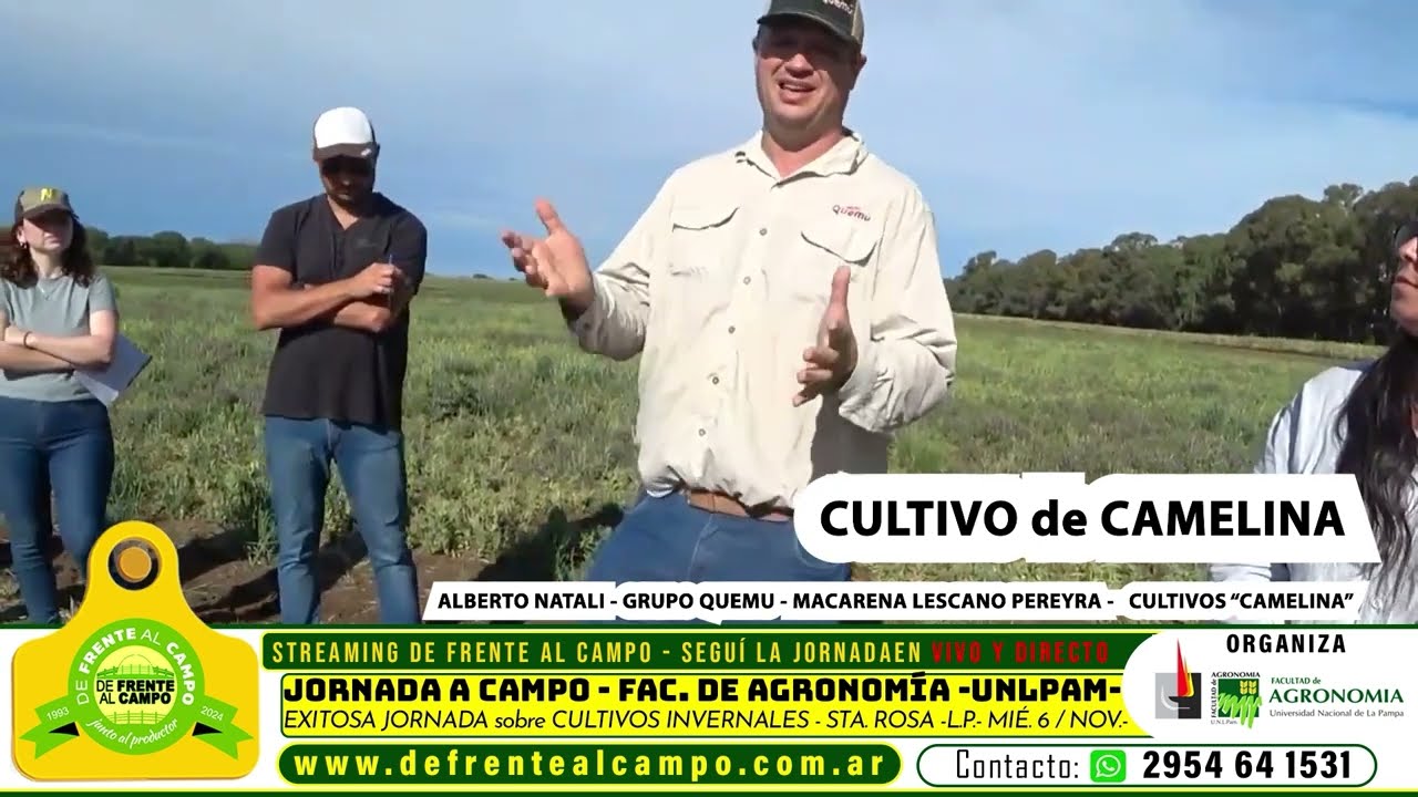 De Frente al Campo presenta el Cultivo de Camelina – Grupo Quemú en la Jornada a Campo “Cultivares de Invierno” – UNLPam.