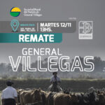 DarWash | Soc. Rural de Gral. Villegas | Próximo Remate Feria el Martes 12 de noviembre 2024