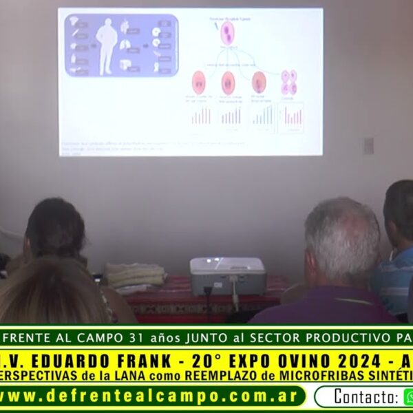 Eduardo Frank – «Perspectivas de la lana como reemplazo de microfibras sintéticas contaminantes» – Expo Ovino 2024