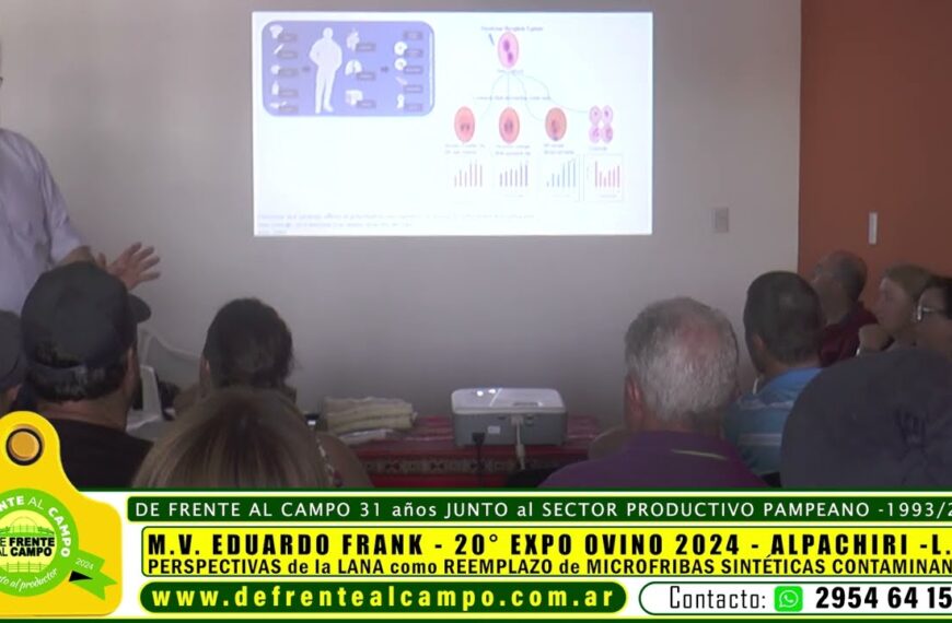 Eduardo Frank – «Perspectivas de la lana como reemplazo de microfibras sintéticas contaminantes» – Expo Ovino 2024