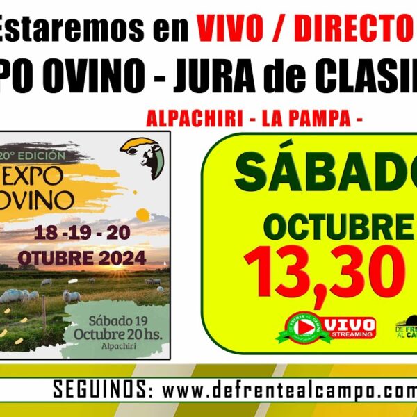 Éxito en la Jura de Clasificación de la 20ª Expo Ovino en Alpachiri