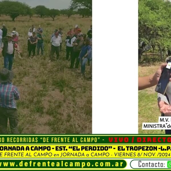 Entrevista: Fernanda González aborda ganadería y manejo sostenible en La Pampa