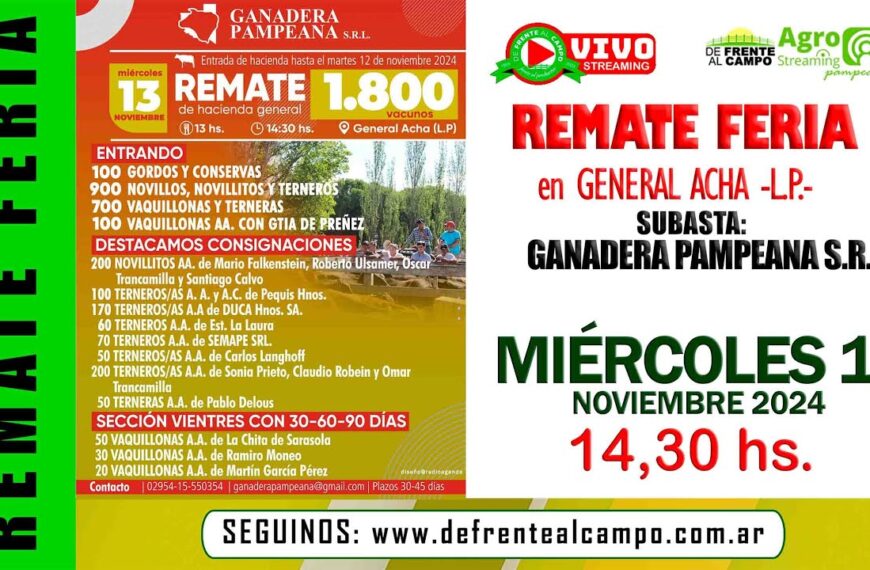 Remate de Ganadera Pampeana SRL | General Acha, La Pampa | 13/11/2024