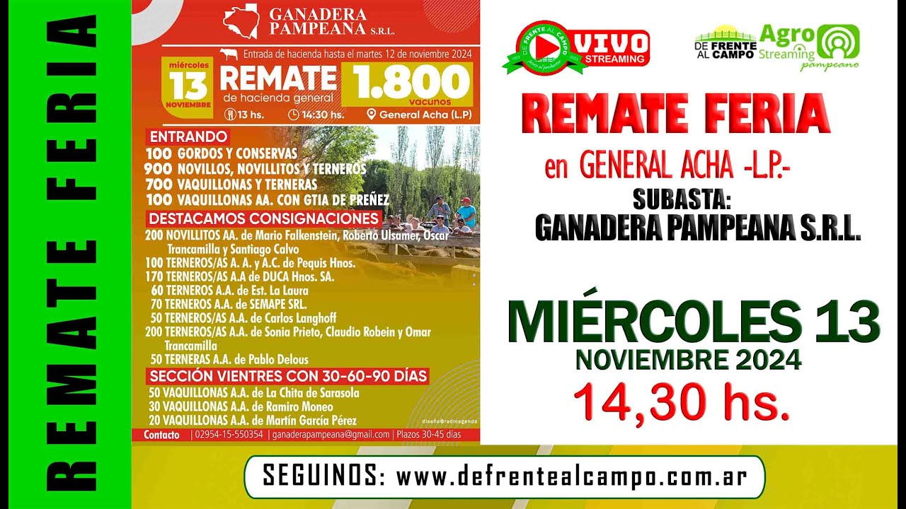 Remate de Ganadera Pampeana SRL | General Acha, La Pampa | 13/11/2024