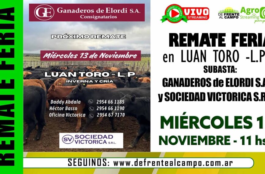 Remate de Ganaderos de Elordi S.A. – Sociedad Victorica S.R.L. | Luan Toro, La Pampa | 13/11/2024