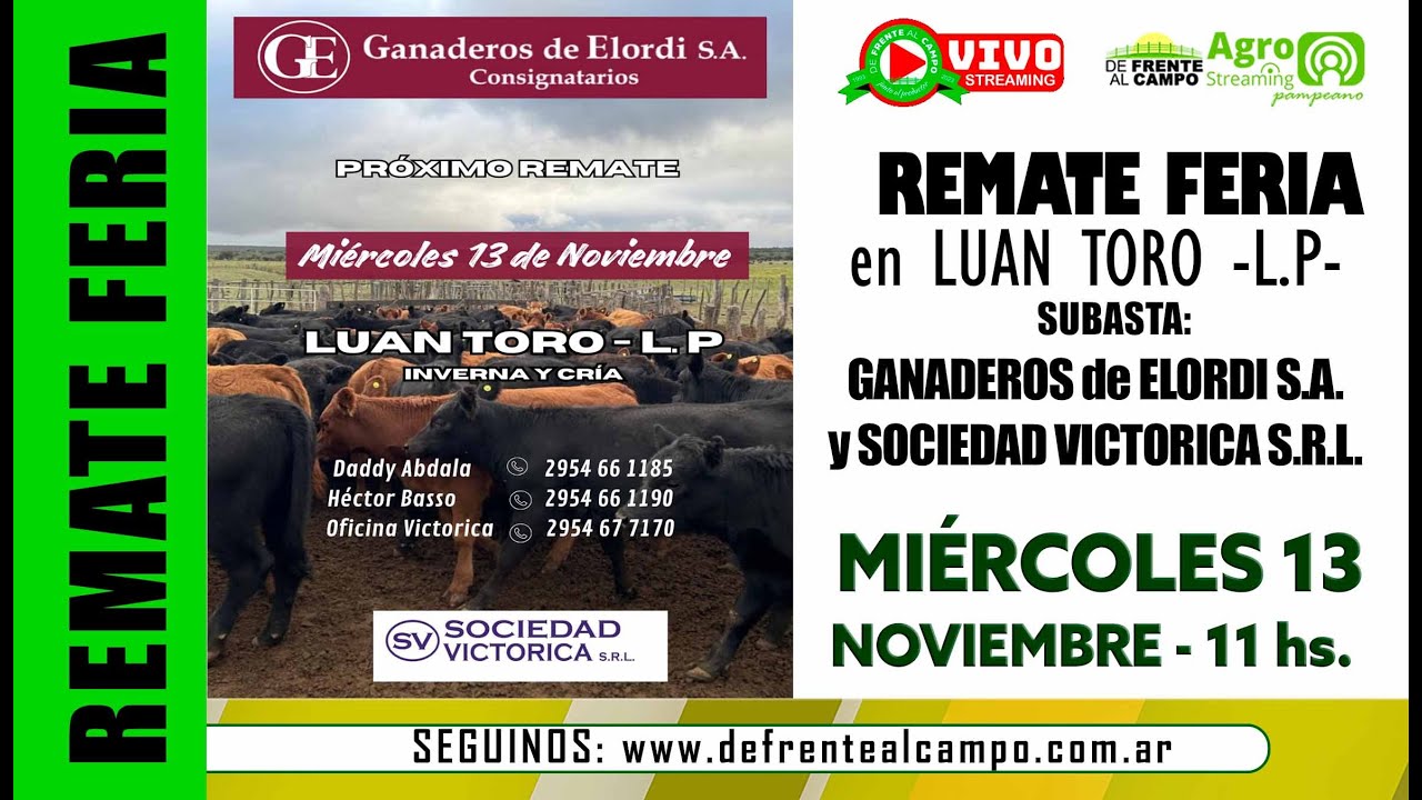 Remate de Ganaderos de Elordi S.A. – Sociedad Victorica S.R.L. | Luan Toro, La Pampa | 13/11/2024