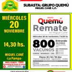 Grupo Quemú | Miguel Cané, La Pampa | Próximo Remate Feria el Miércoles 20 de noviembre 2024