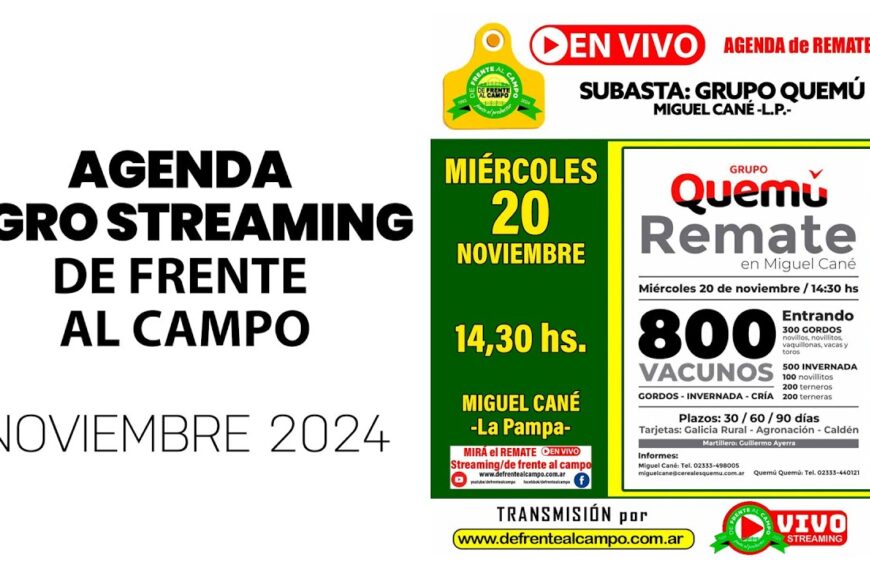 Remate de Grupo Quemu S.A. | Miguel Cané – La Pampa | 20/11/2024