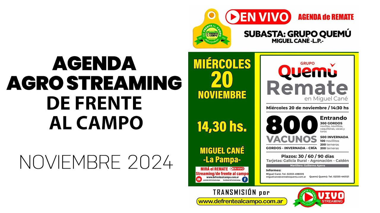 Remate de Grupo Quemu S.A. | Miguel Cané – La Pampa | 20/11/2024